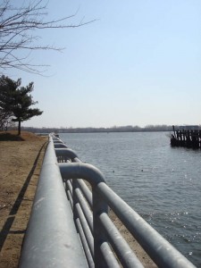 A recently erected fence makes Pulaski Park safer for recreational activities.